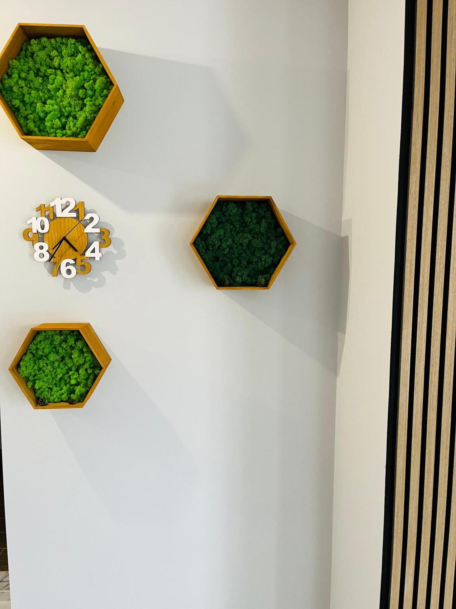 Boutique Апартамент *